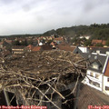 15_30-nest.jpg
