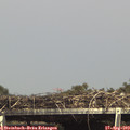 15_35-mast.jpg