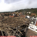 15_35-nest.jpg