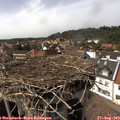 15_40-nest.jpg