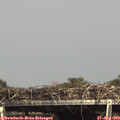 15_45-mast.jpg