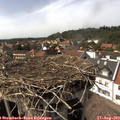 15_45-nest.jpg