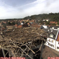 15_50-nest.jpg