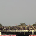 15_55-mast.jpg