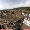 15_55-nest.jpg