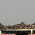 16_00-mast.jpg