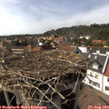 16_00-nest.jpg