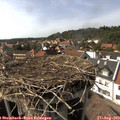 16_05-nest.jpg