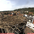 16_10-nest.jpg