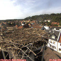 16_15-nest.jpg