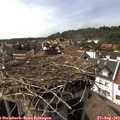 16_20-nest.jpg