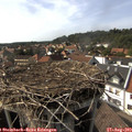 16_25-nest.jpg
