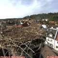 16_30-nest.jpg