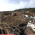 16_35-nest.jpg