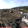 16_45-nest.jpg