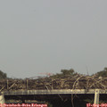 16_55-mast.jpg