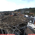 16_55-nest.jpg
