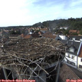 17_05-nest.jpg