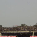 17_10-mast.jpg