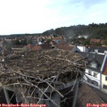 17_10-nest.jpg