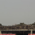 17_15-mast.jpg