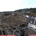 17_15-nest.jpg