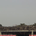 17_20-mast.jpg