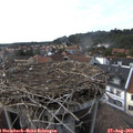 17_20-nest.jpg