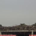 17_25-mast.jpg