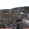 17_25-nest.jpg