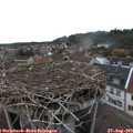 17_40-nest.jpg