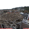 17_45-nest.jpg