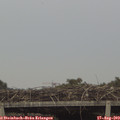 17_55-mast.jpg