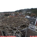 17_55-nest.jpg