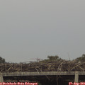 18_10-mast.jpg