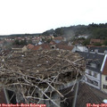 18_20-nest.jpg