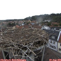 18_35-nest.jpg