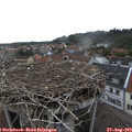 18_40-nest.jpg