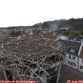 18_45-nest.jpg