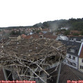 18_50-nest.jpg