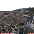 18_55-nest.jpg