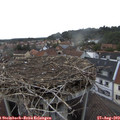 19_00-nest.jpg