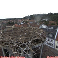 19_05-nest.jpg