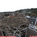 19_10-nest.jpg