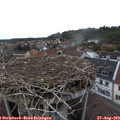 19_15-nest.jpg