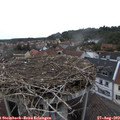 19_20-nest.jpg