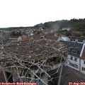 19_25-nest.jpg