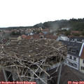 19_30-nest.jpg