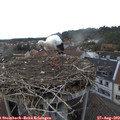 19_40-nest.jpg