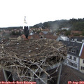 19_45-nest.jpg